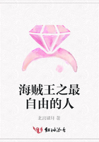海贼王之最自由的人