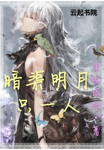 暗渠明月只一人