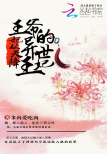妃从天降:王爷的异世王妃