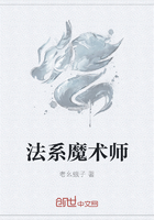 法系魔术师在线阅读