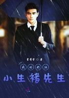 我的奶油小生褚先生
