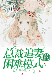 总裁追妻的困难模式