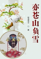 亦苍山负雪在线阅读