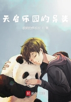 天启乐园的异类在线阅读