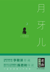 老舍小全集:月牙儿(精装)