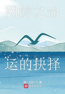 網游之命運的抉擇