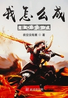 我怎么成BOSS了