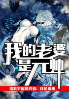 我的老婆是元帥在線閱讀