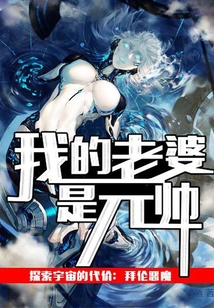 我的老婆是元帥
