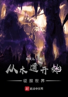 從木遁開始征服世界在線閱讀