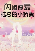 閃婚厚愛陸總的小嬌妻在線閱讀