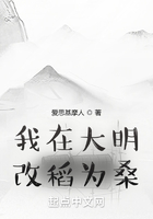 我在大明改稻為桑在線閱讀