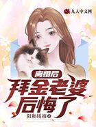 离婚后，拜金老婆后悔了在线阅读