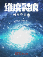 维度裂痕：时空守卫者