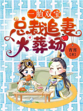 一胎双宝:总裁追妻火葬场在线阅读