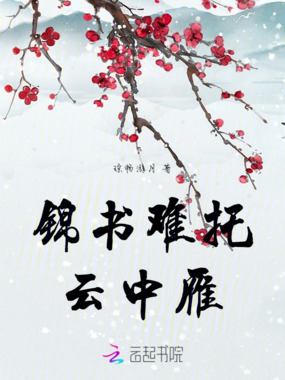 锦书难托云中雁在线阅读