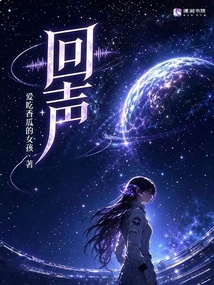 回声 封面