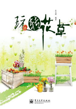 玩转花草 封面