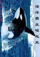 海洋霸主崛起史