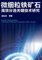 微细粒铁矿石高效分选关键技术研究