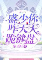 盛少你咋天天跪鍵盤在線閱讀