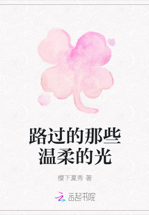 路過的那些溫柔的光