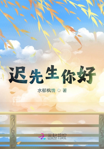 迟先生你好