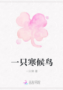 一只寒候鳥