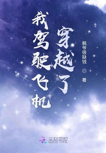 我駕駛飛機穿越了