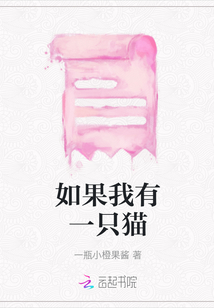 如果我有一只貓