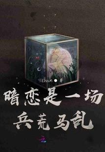 暗戀是一場兵荒馬亂