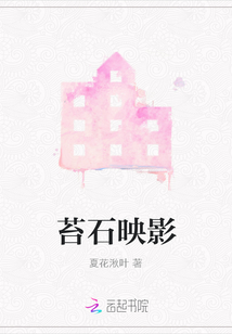苔石映影