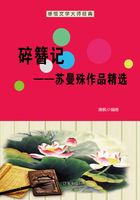 碎簪记：苏曼殊作品精选（感悟文学大师经典）在线阅读