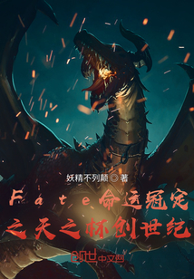 Fate命運冠定之天之杯創(chuàng)世紀(jì)