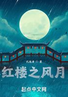 红楼之风月在线阅读