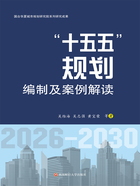 “十五五”规划编制及案例解读