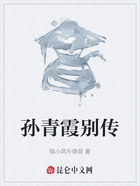 孙青霞别传在线阅读