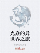 光焱的异世界之旅在线阅读