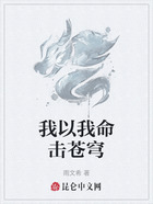 我以我命击苍穹在线阅读