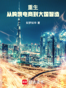 重生：从跨境电商到大国智造（陆远、朱晓薇）在线阅读