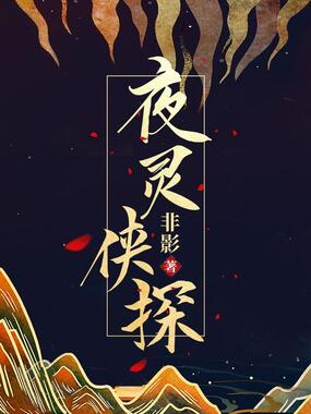 夜灵侠探在线阅读