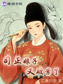司正娘子又破案了 封面
