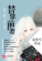 新婚无爱，替罪前妻