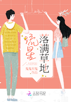 流星落滿草地在線閱讀