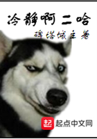 冷靜啊二哈在線閱讀