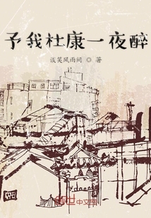 予我杜康一夜醉
