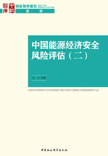 中国能源经济安全风险评估(二)