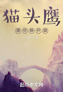 猫头鹰请你睁开眼 cover