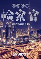 我竟成了檢察官在線閱讀