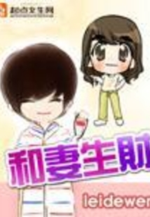 和妻生财在线阅读